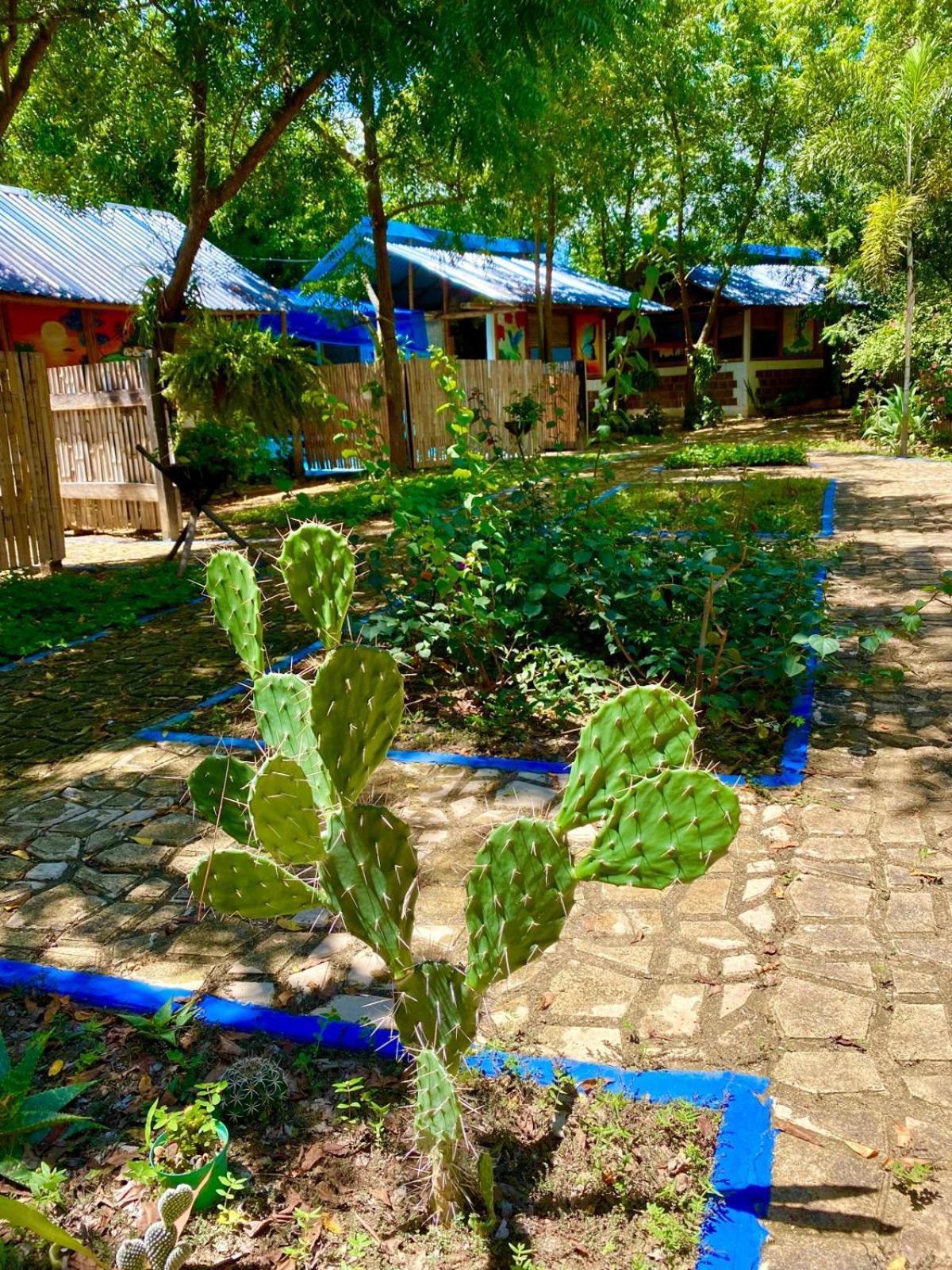 Finca Ecoturistica Los Jagueyes Baraya Exterior photo