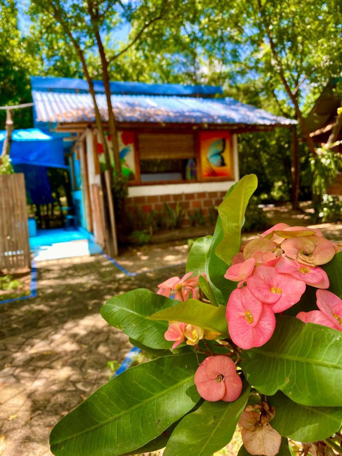 Finca Ecoturistica Los Jagueyes Baraya Exterior photo
