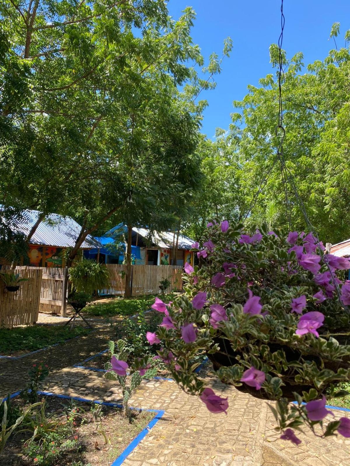 Finca Ecoturistica Los Jagueyes Baraya Exterior photo